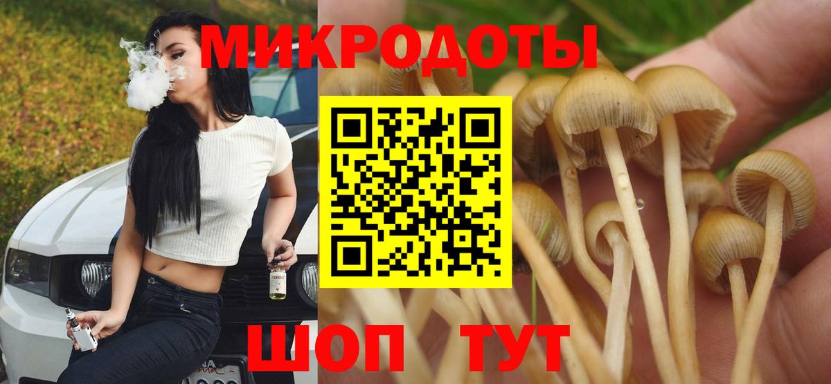 Псилоцибиновые грибы Psilocybe  Вход с VPN  Черногорск 
